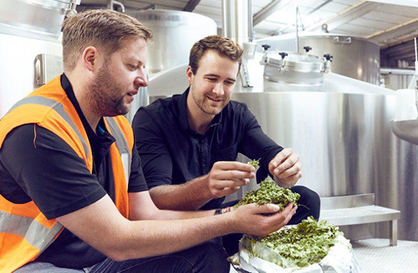 用自己的DNA定制基因啤酒，口味一定适合你