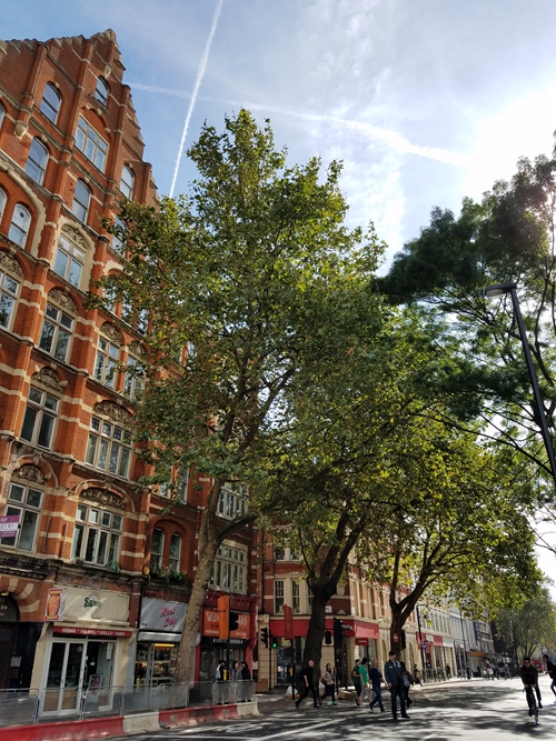 《书城》专稿|沈胜衣：查令十字街，书和电影内外的故事