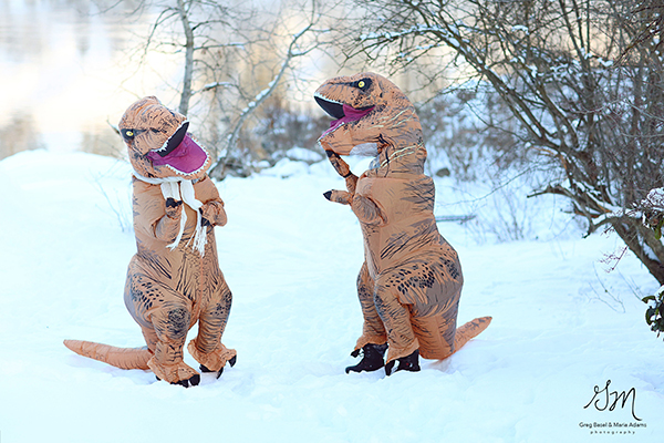 趣看｜浪漫没死！情侣身着恐龙服大秀“史前”恩爱