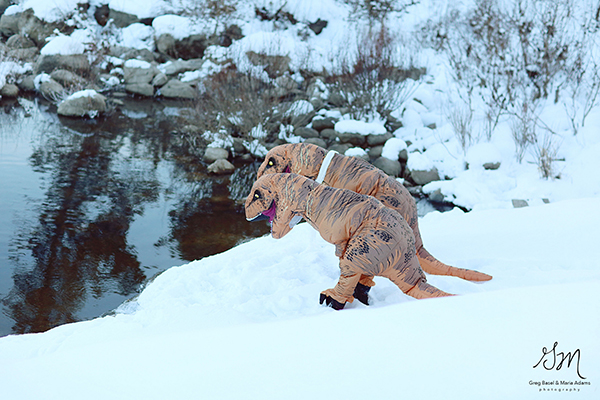 趣看｜浪漫没死！情侣身着恐龙服大秀“史前”恩爱