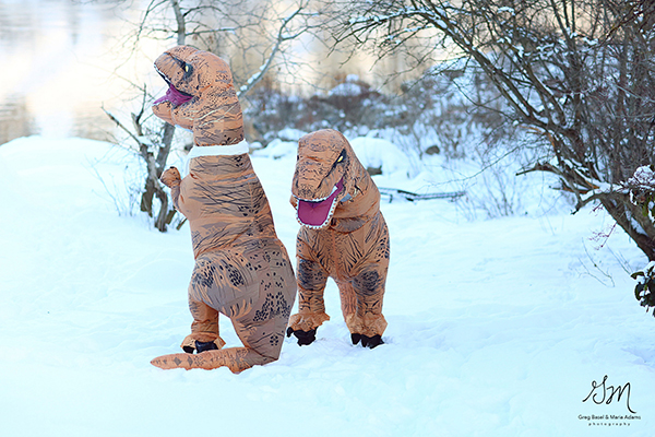 趣看｜浪漫没死！情侣身着恐龙服大秀“史前”恩爱