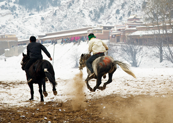 约瑟夫·洛克的甘南路