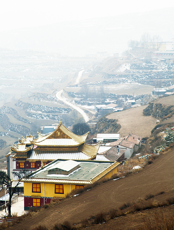 约瑟夫·洛克的甘南路