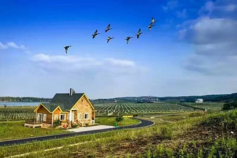 39ed8a4e666859ed2d2b51eb0c542b57 - 副本.jpg