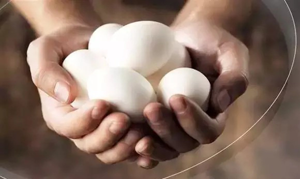 全麦食物好，蛋黄不能吃，你确定了解健身饮食的真相吗