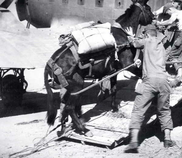 档案春秋︱1944年挽救中国战场的美军“蝇蛆行动”