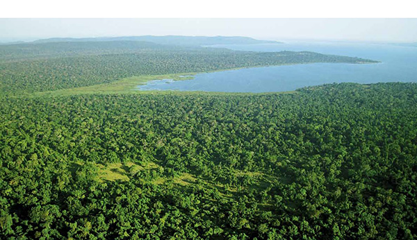 鲁邦多岛的诺亚方舟