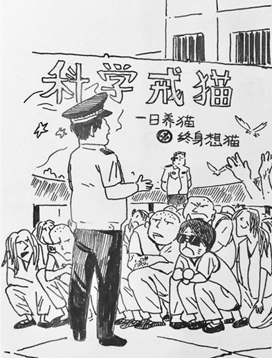 澎湃联播|十个橘猫九个胖，可以说非常豹笑了