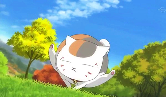 澎湃联播|十个橘猫九个胖，可以说非常豹笑了