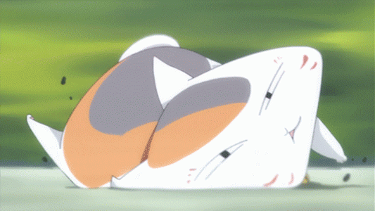 澎湃联播|十个橘猫九个胖，可以说非常豹笑了