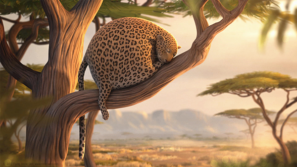 澎湃联播|十个橘猫九个胖，可以说非常豹笑了