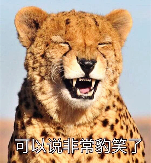 澎湃联播|十个橘猫九个胖，可以说非常豹笑了