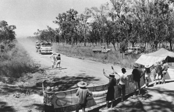 8处古森林，地球秘密的守护者