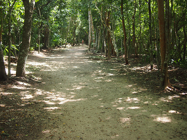 玛雅之路，从尤卡坦到恰帕斯