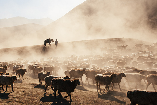 25500公里：从拉萨到开罗，一个人的公路之旅