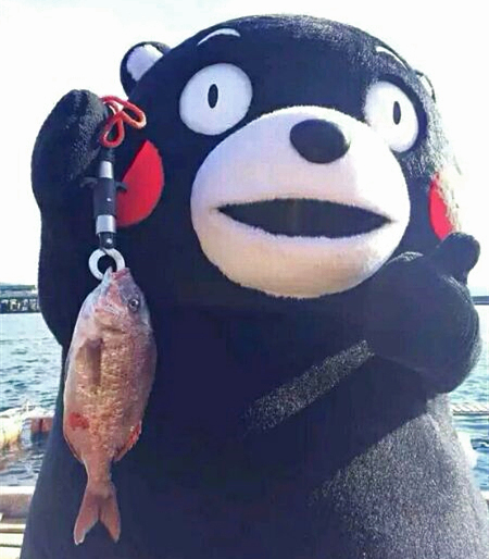 澎湃联播|今夜，我不过节，我只关心人类