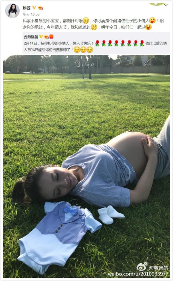 晚安｜狗粮吃吧吃吧吃吧不是罪