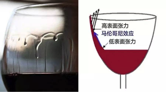 “陈家镛一号”今日发射成功，上天去做一场化工实验！