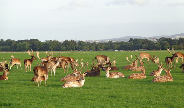 Airbnb发布最值得游玩街区，第一名居然是新奥尔良
