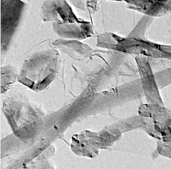 “钢筋石墨烯”泡沫有多强：可支撑超其自身重量三千倍的负载