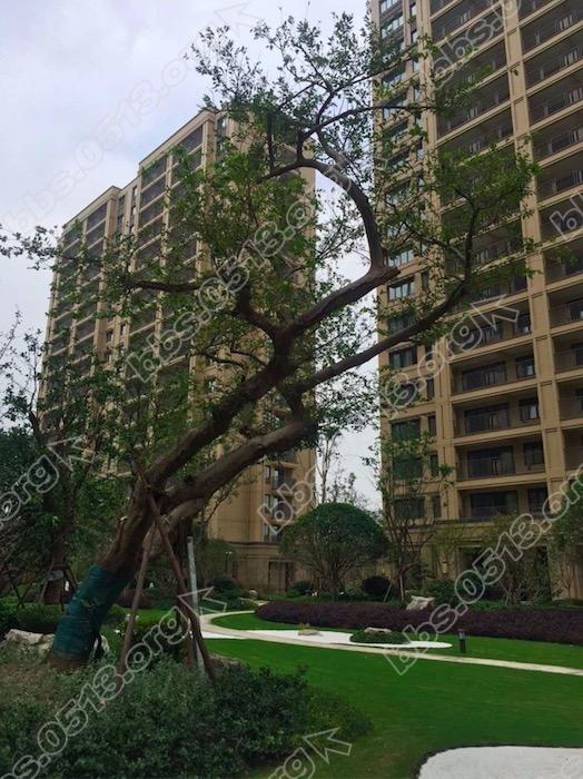 这样的栏杆，真的很碍事吗？一定非要全部拆除吗？反正我认为没这个必要。