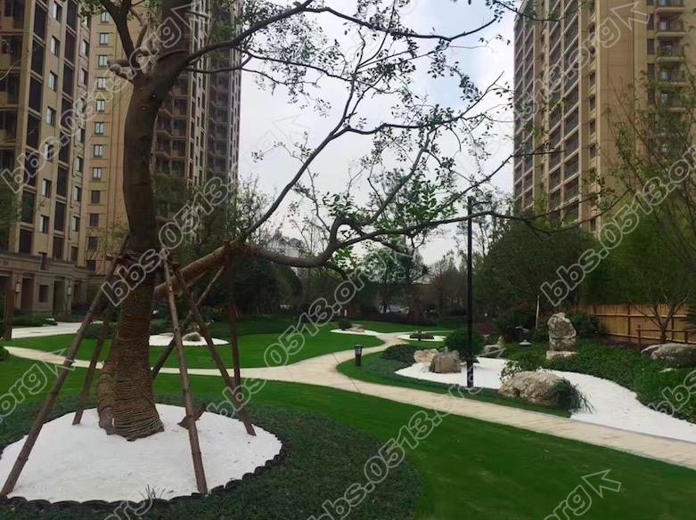 现在的环境，我还算满意。请物业认真管理，好好维护！