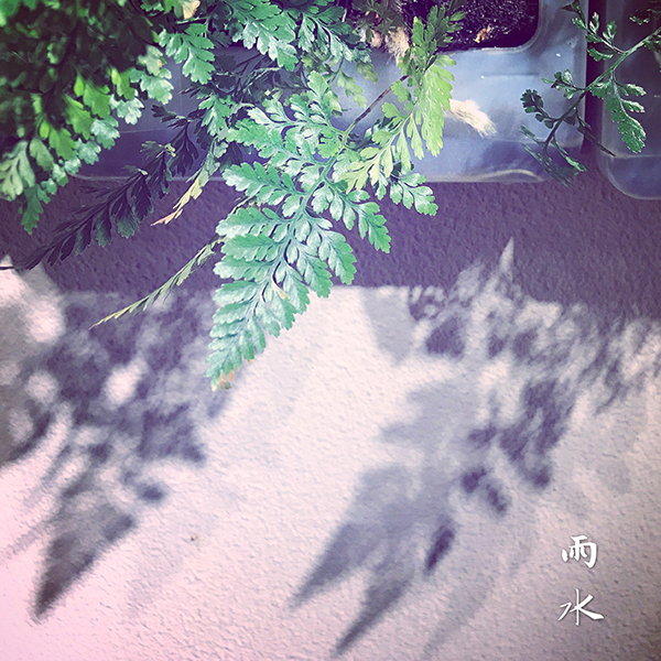 节气｜雨水送春意 食粥养脾胃