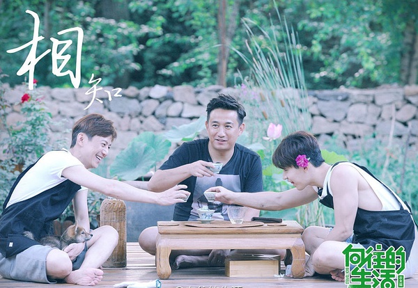 综艺霸屏，何炅为什么这么忙