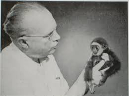 那些走红中国的汉学家