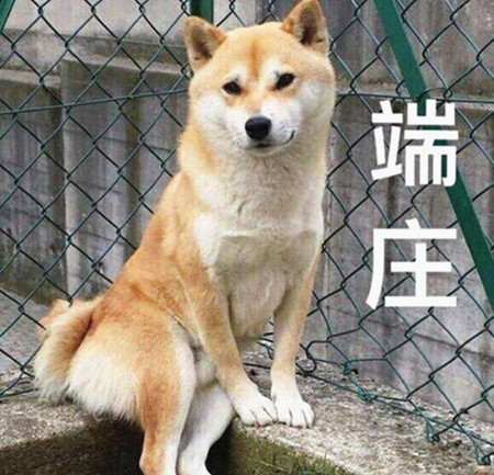 澎湃联播|你坐在影院看电影，放电影人在探头里看你