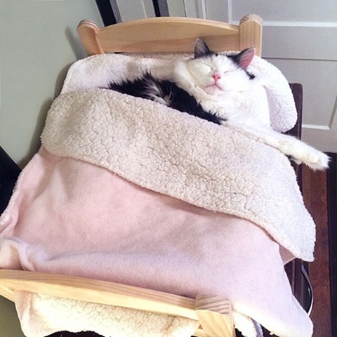 澎湃联播|你坐在影院看电影，放电影人在探头里看你