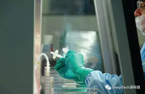 MIT科技评论年度十大突破技术：刷脸支付、全景自拍入选