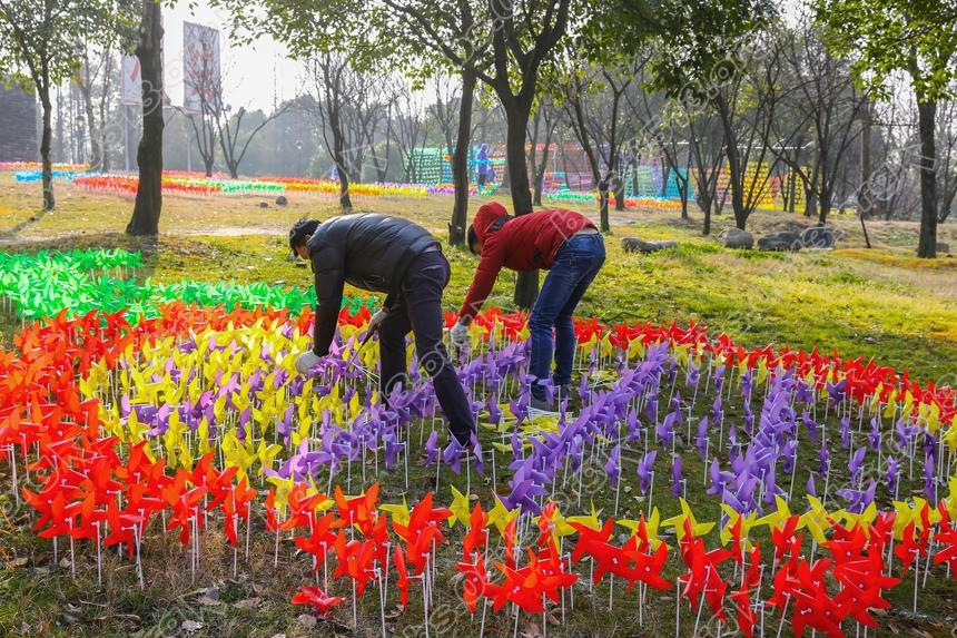 南通风车艺术节开幕在即 工人们紧张布展 (7).jpg