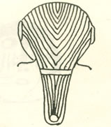 《大秦帝国》中宣太后的发型有些不符合年纪