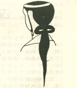 《大秦帝国》中宣太后的发型有些不符合年纪