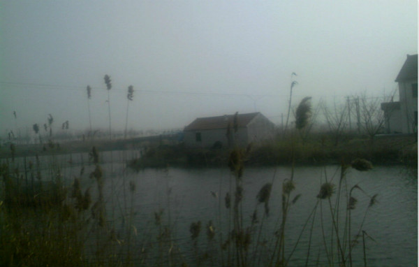 “状元实业家”张謇为何失败