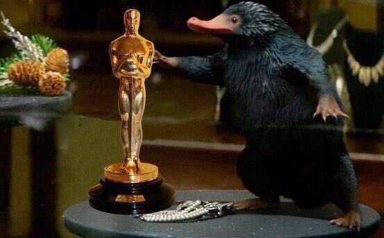 晚安｜鹿晗给骚扰自己的狗仔和私生饭写了首歌，还有点好听