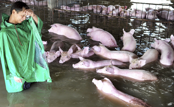 聂树斌案摄影作品获2016年度人民摄影“金镜头”组照金奖