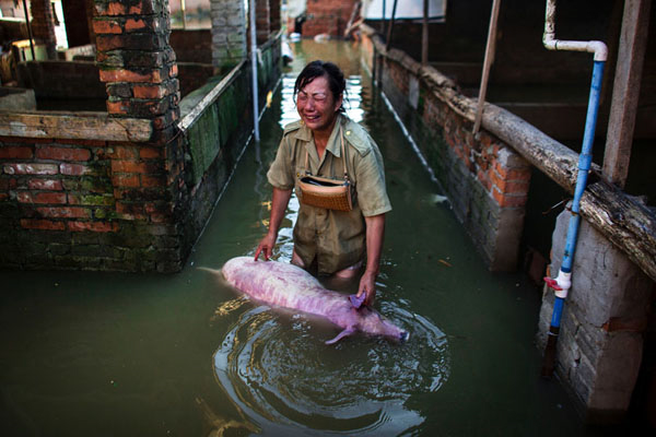 聂树斌案摄影作品获2016年度人民摄影“金镜头”组照金奖