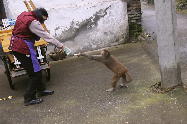 聂树斌案摄影作品获2016年度人民摄影“金镜头”组照金奖