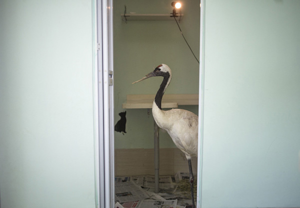 聂树斌案摄影作品获2016年度人民摄影“金镜头”组照金奖