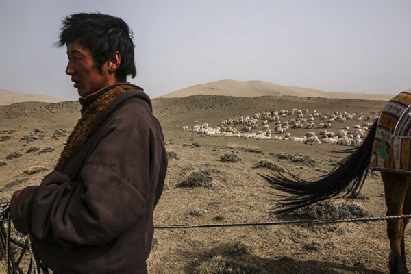 聂树斌案摄影作品获2016年度人民摄影“金镜头”组照金奖