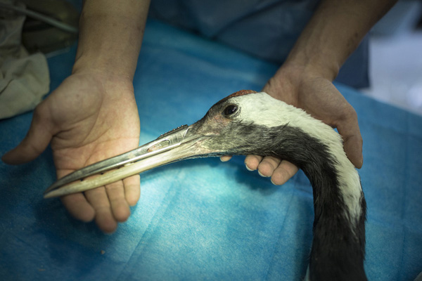 聂树斌案摄影作品获2016年度人民摄影“金镜头”组照金奖