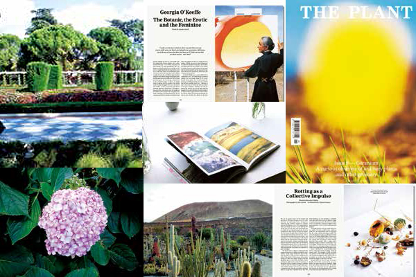 对谈 | 一本让植物杀手也服气的灵感杂志