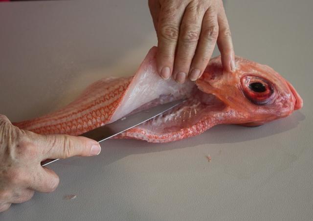 鱼肚子里有黑黑的膜？那是正常的！
