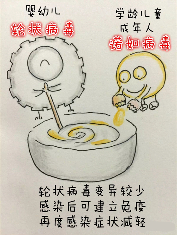 漫画｜诺如病毒又来了，对付小孩腹泻哪家强