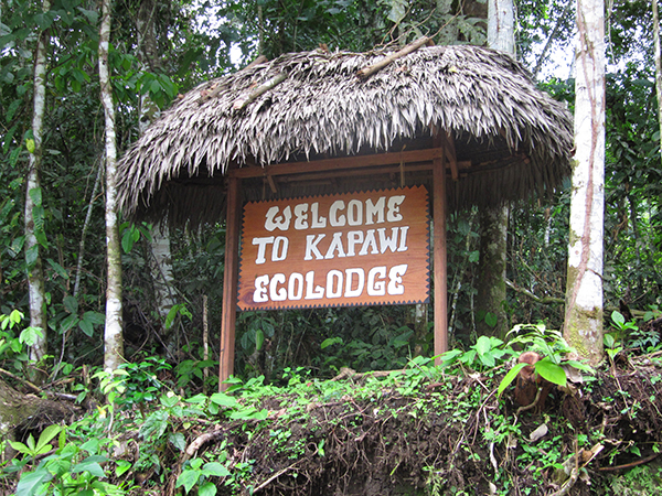 昆虫、疾病与坏天气，为什么我仍要去亚马逊雨林旅行