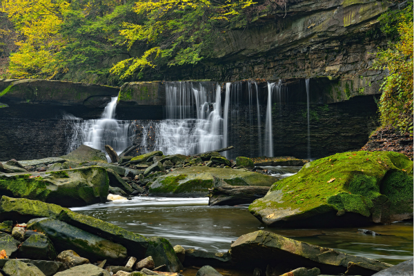 从爱默生、梭罗到迪拉德，我们今天应该如何看待自然文学