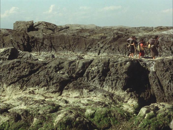 睡不着丨铃木清顺《流浪者之歌》：不像电影的电影