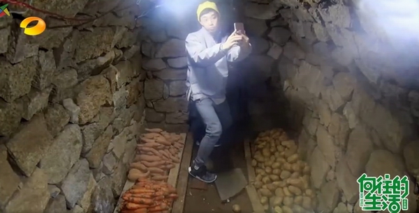 《向往的生活》：为了这慢悠悠的生活要费多少工夫